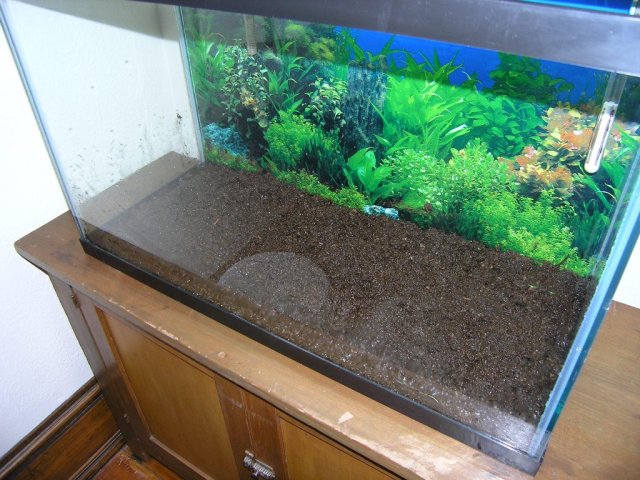 wet peat spread out step 5.JPG