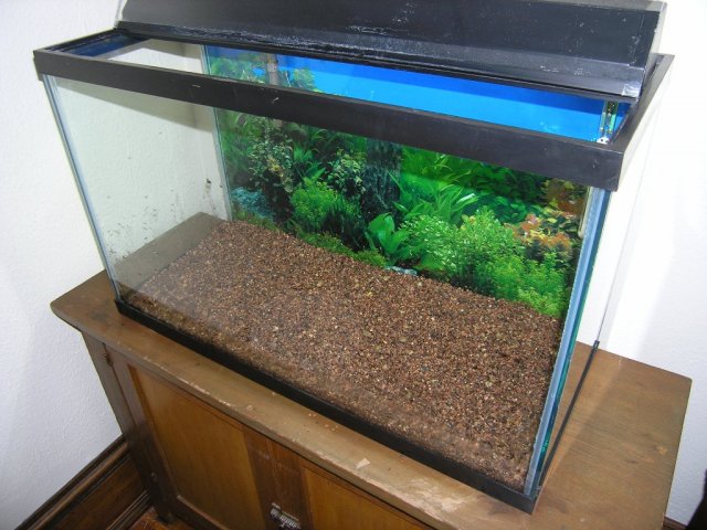 layer of fourite step 6.JPG
