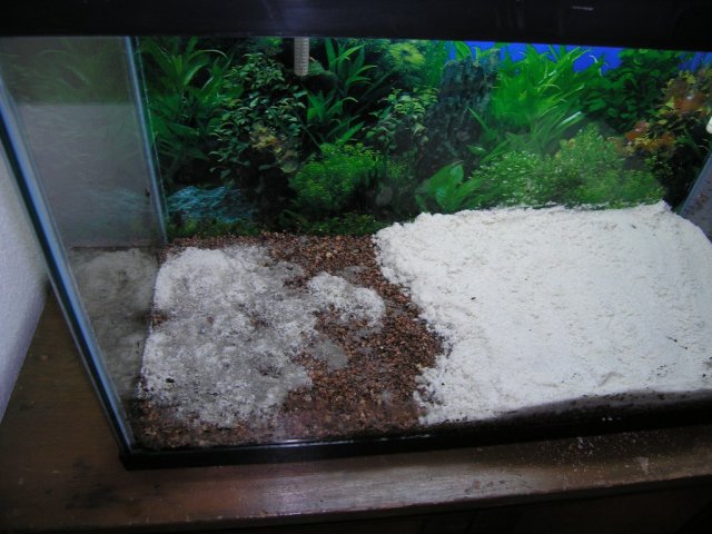 addinng and spreading filter sand step 7.JPG