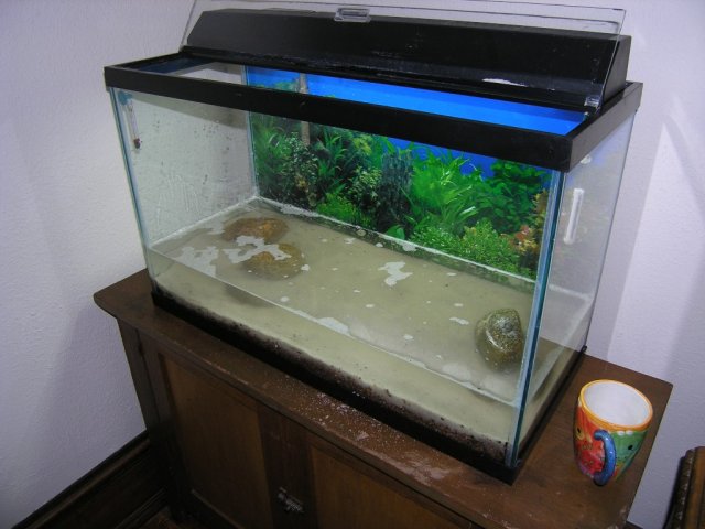 adding water step 8.JPG