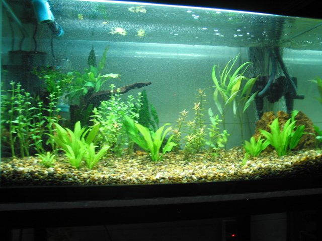 Picture 302.jpg Picture 302.jpg