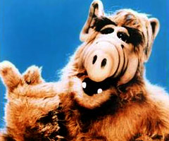 alf_240_001.jpg