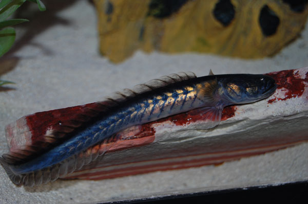 DSC_0013.JPG DSC_0013.JPG