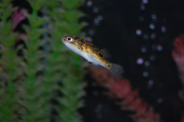 DSC_0004.JPG DSC_0004.JPG