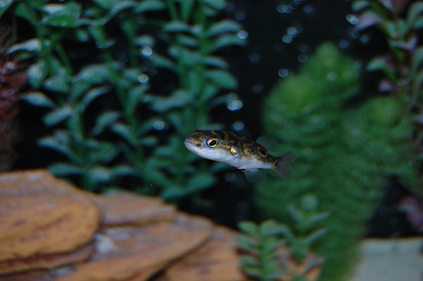 DSC_0005.JPG DSC_0005.JPG