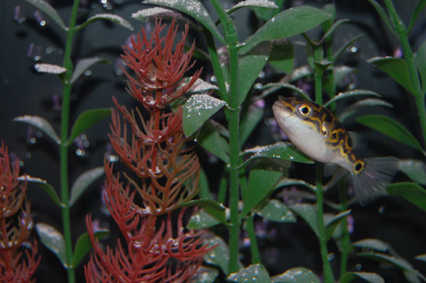 DSC_0002.JPG DSC_0002.JPG