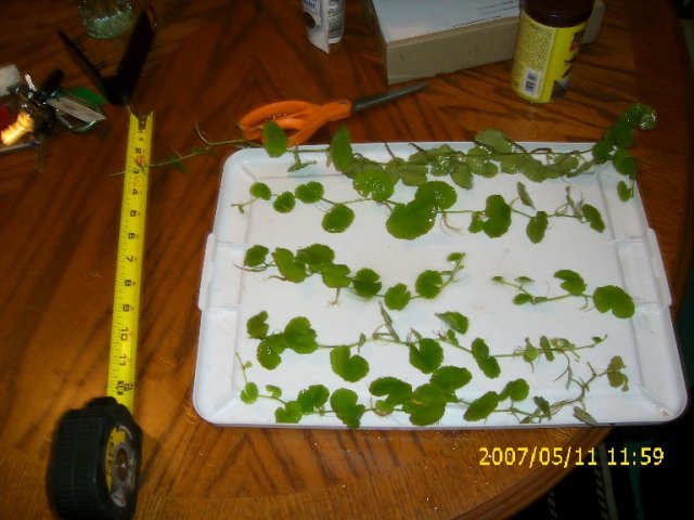 DSCI0336.JPG DSCI0336.JPG