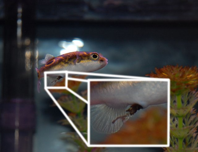 DSC_0009.jpg DSC_0009.jpg