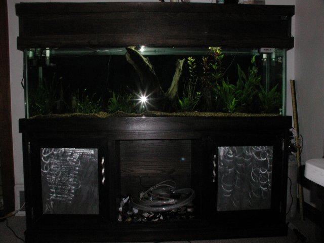 P1010003.JPG