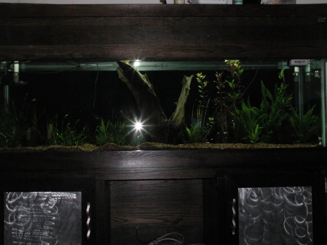 P1010004.JPG