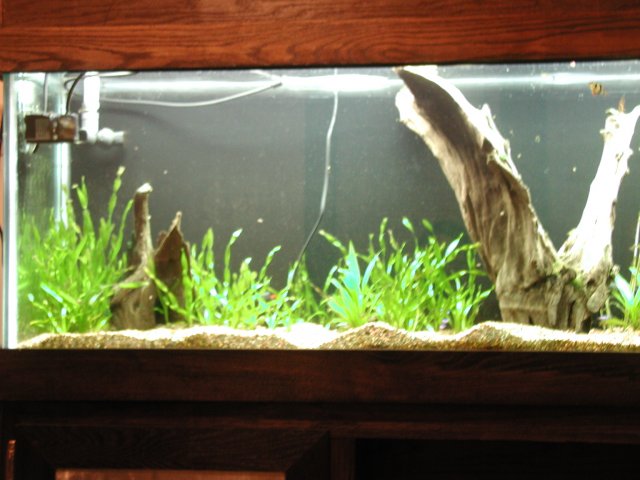 P1010007.JPG