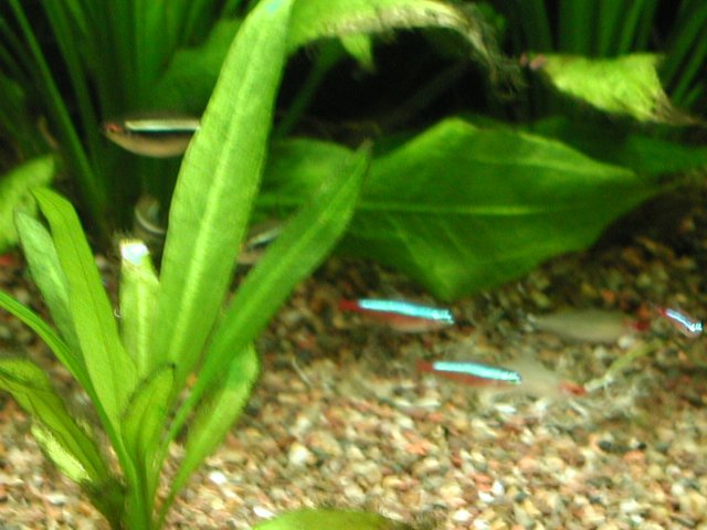 P1010008.JPG