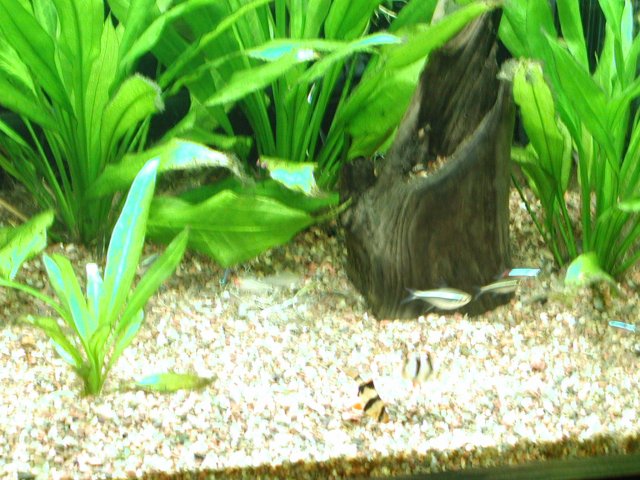 P1010009.JPG
