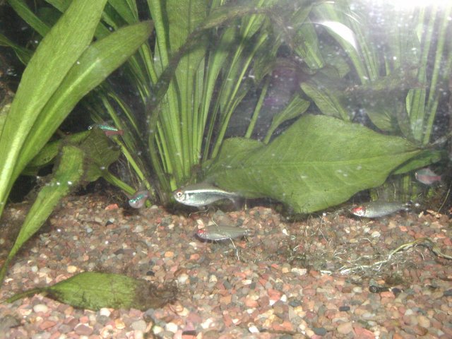 P1010010.JPG