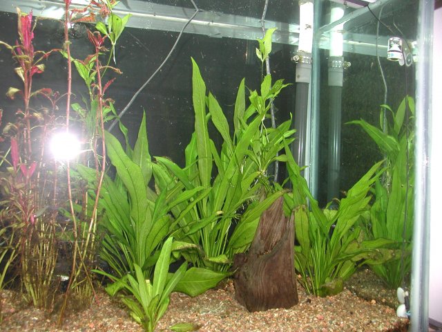 P1010013.JPG