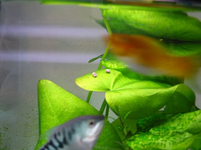 130-3030_IMG.JPG