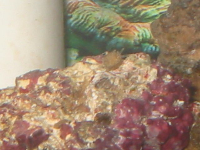 IMG_2579.JPG