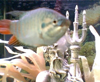 grumpy001.jpg