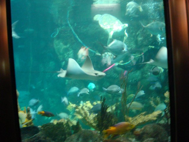DSC05170.JPG