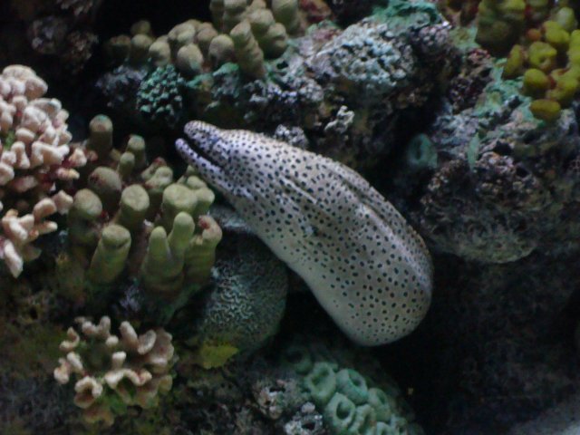 DSC05190.JPG