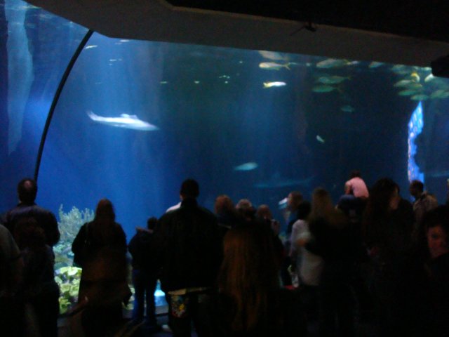DSC05195.JPG