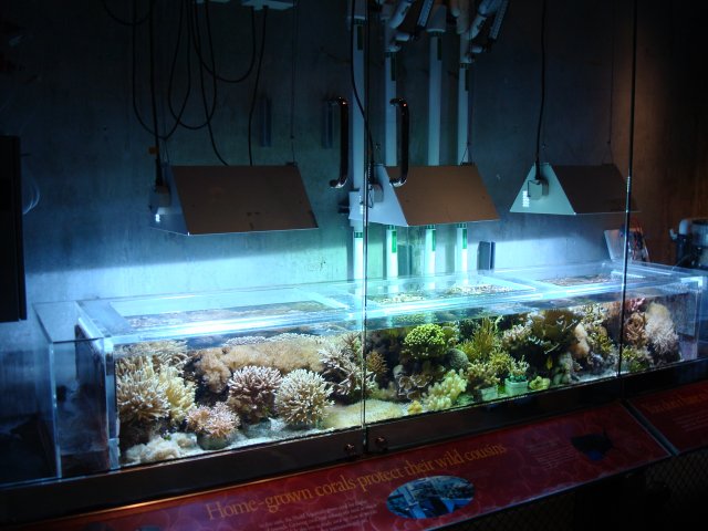DSC05204.JPG