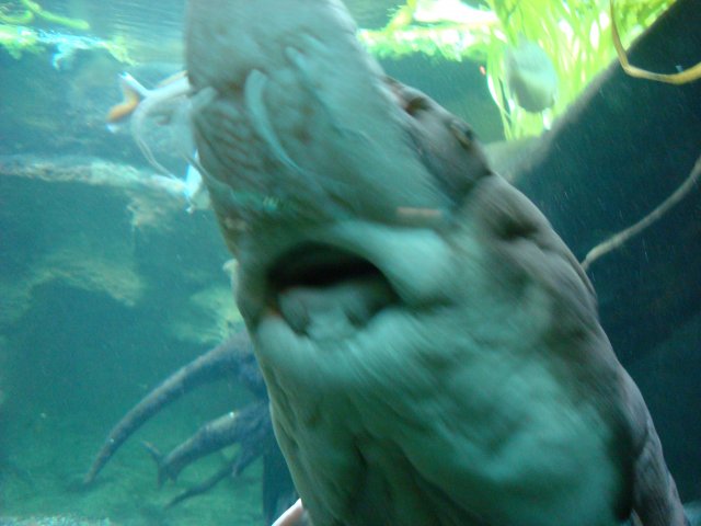 DSC05209.JPG