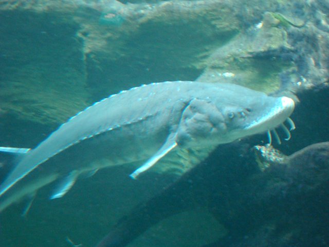 DSC05210.JPG