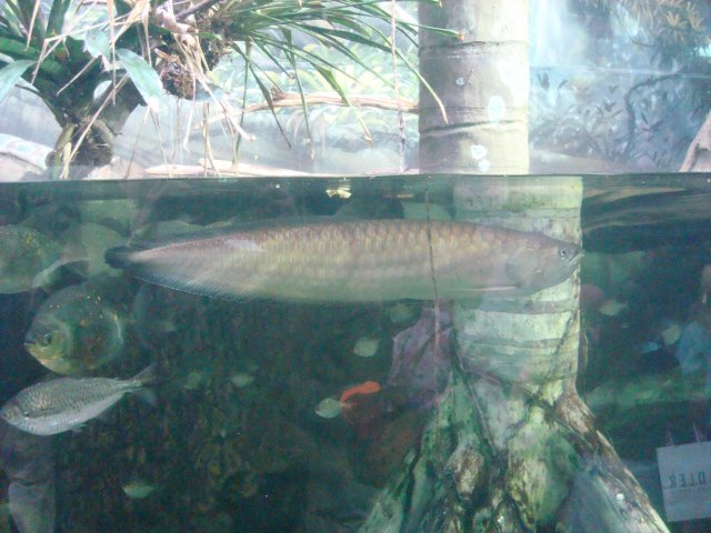 DSC05223.JPG