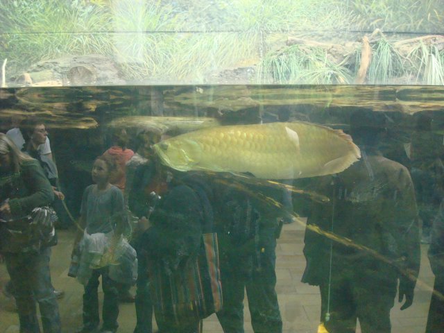 DSC05224.JPG