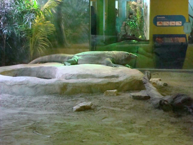 DSC05237.JPG