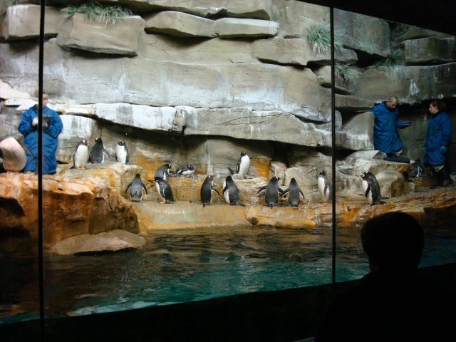 DSC05244.JPG