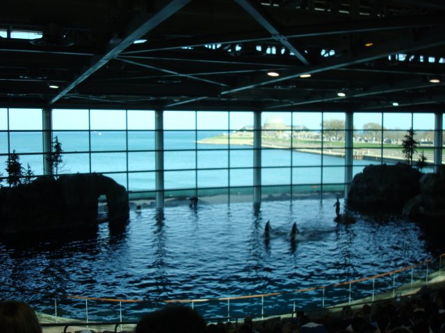DSC05248.JPG