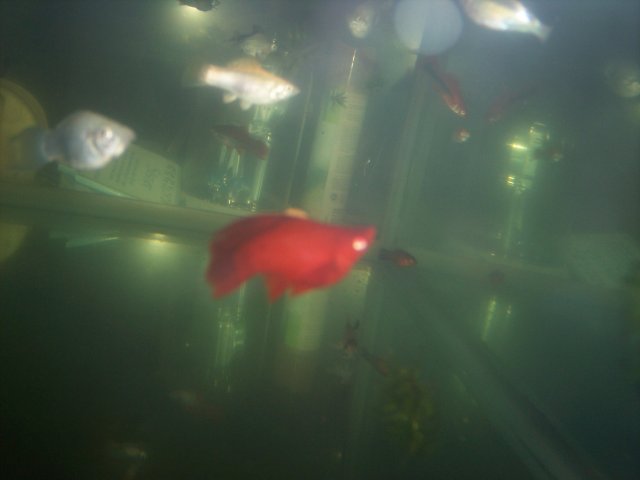 100_3427.JPG