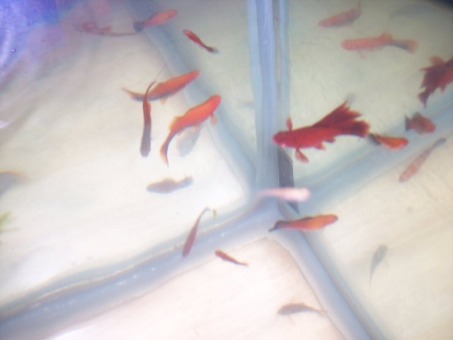 100_3413.JPG 100_3413.JPG