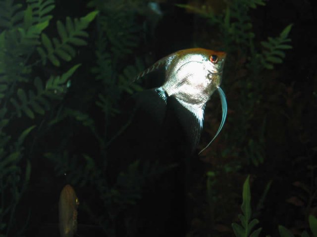 Pictures 014.jpg