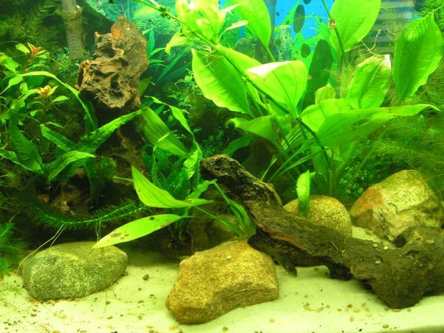 29g 01.JPG