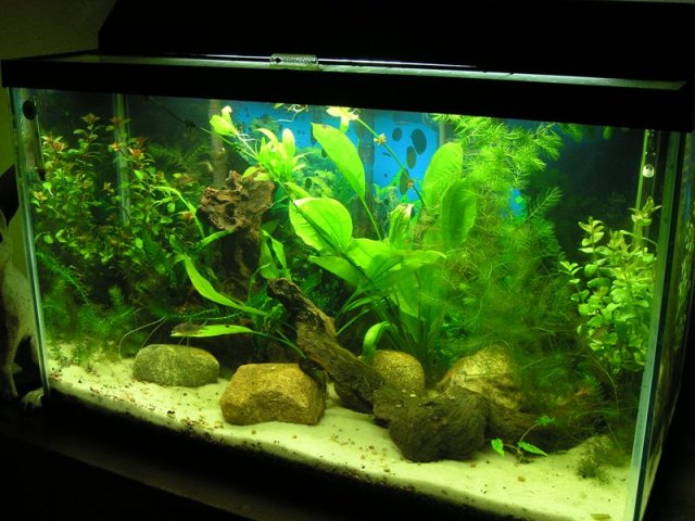 29g 02.JPG