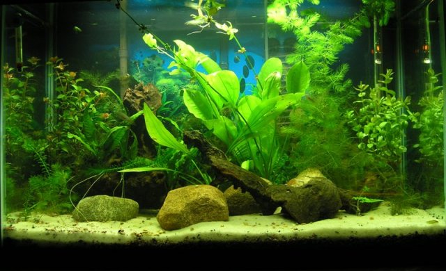 29g 03.JPG