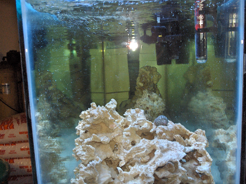 another side view.png