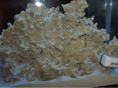 right side of tank.png