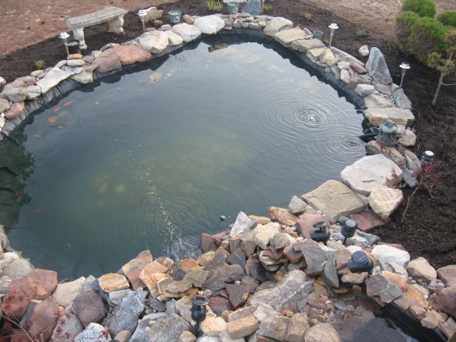 pond 001.jpg