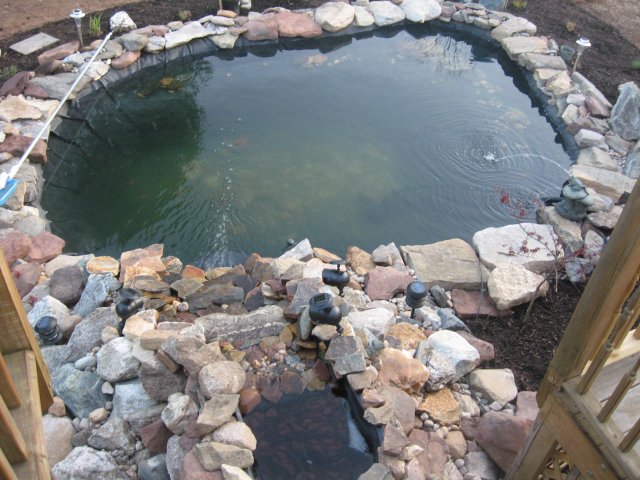 pond 004.jpg