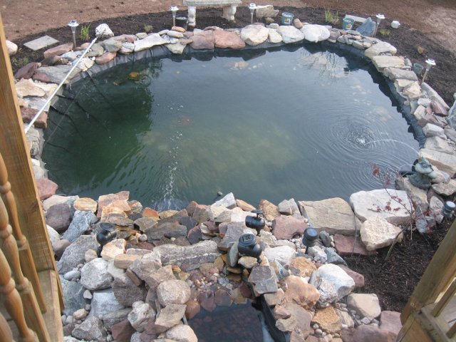 pond 006.jpg