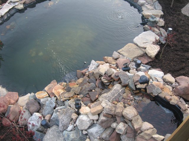 pond 002.jpg