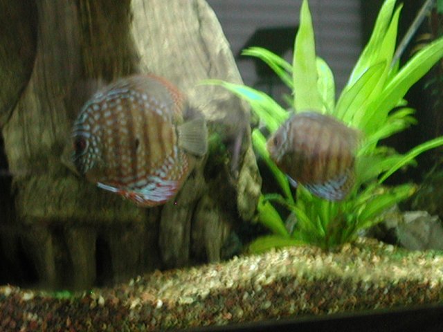 P1010018.JPG