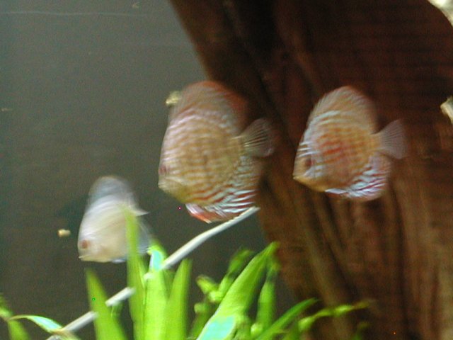 P1010026.JPG