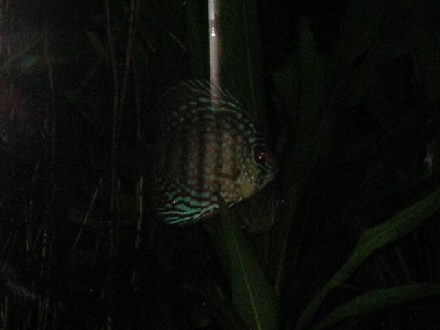 P1010028.JPG