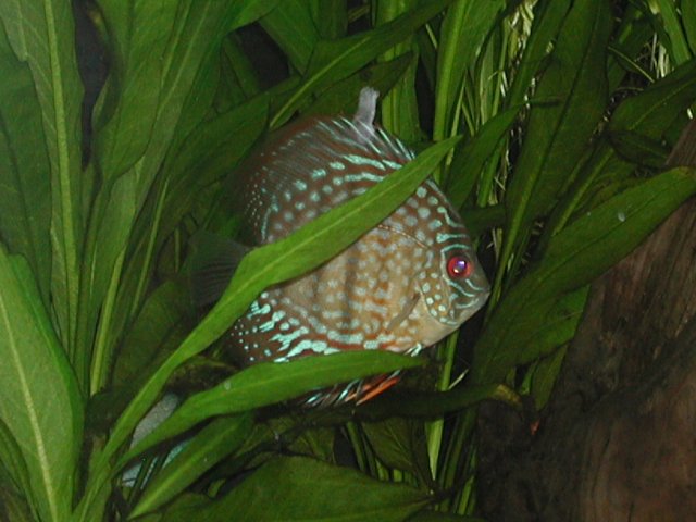 P1010034.JPG