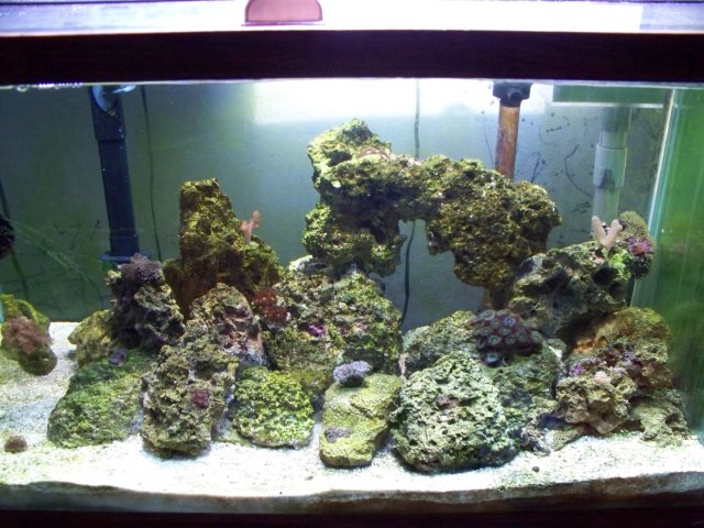 100_0091.JPG